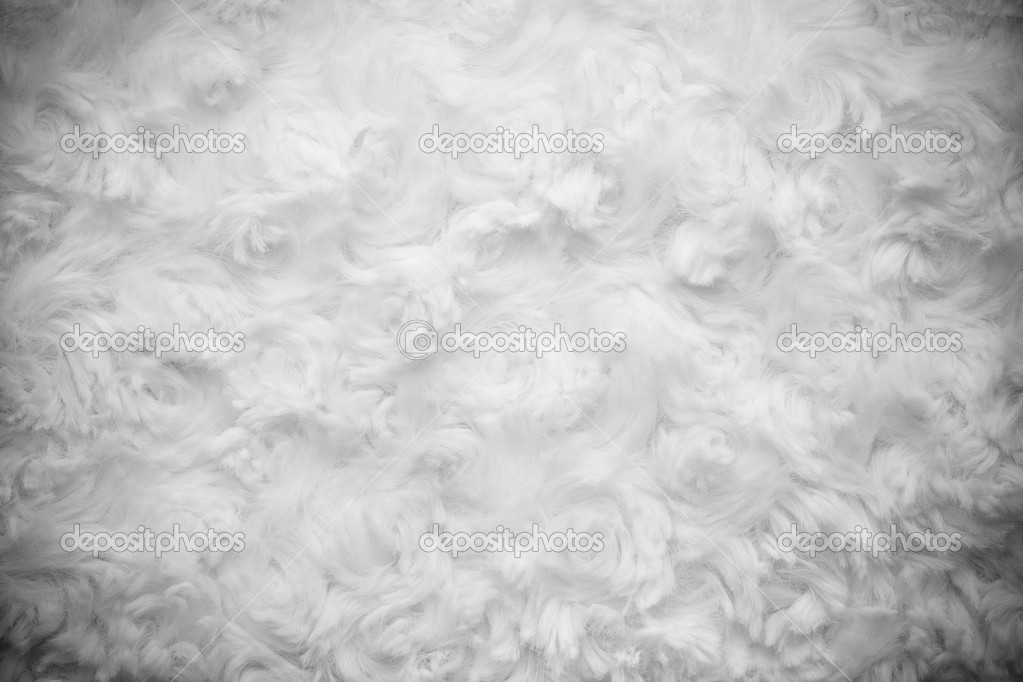 Cotton Wool — Stock Photo © Quagmire 42966159