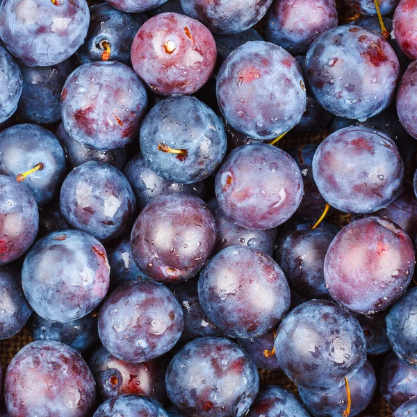 Plums — Stock Photo, Image