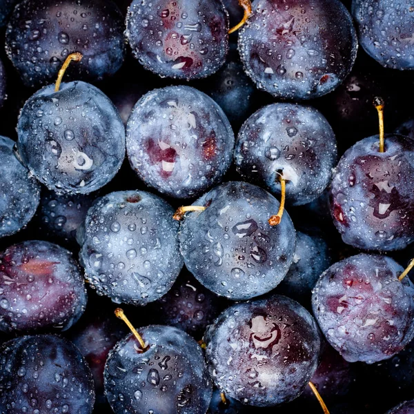 Plums Closeup — Stock Photo, Image