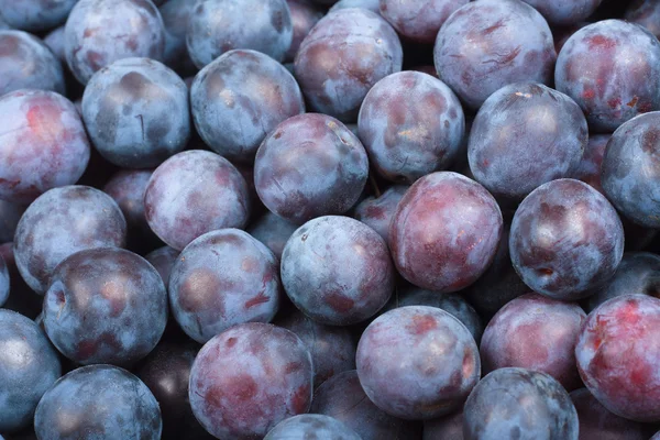 Many Plums — Stock Photo, Image