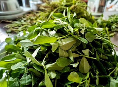 Hindistan 'da bir markette satılık sağlıklı ve besleyici taze yeşil bir çınar ağacı.