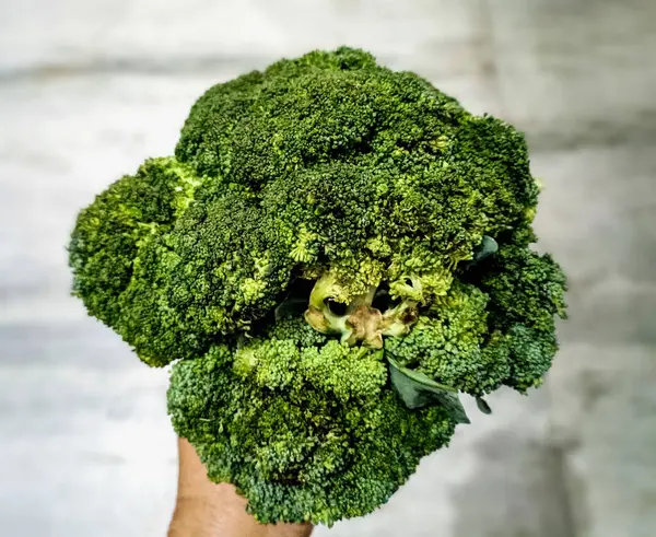 Broccoli Handen Vegetariskt Mat Eller Dietkoncept — Stockfoto