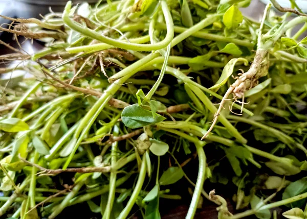 Racimo Verduras Frescas Alholva Verde Saludables Nutritivas Para Venta Mercado —  Fotos de Stock