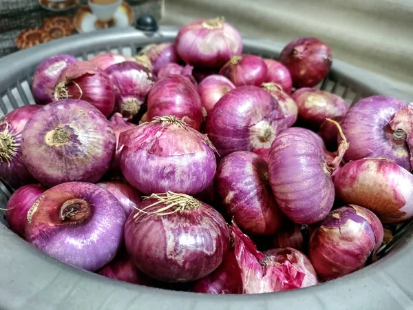 Close View Indian Onion Important Cooking Ingredient India — Fotografia de Stock