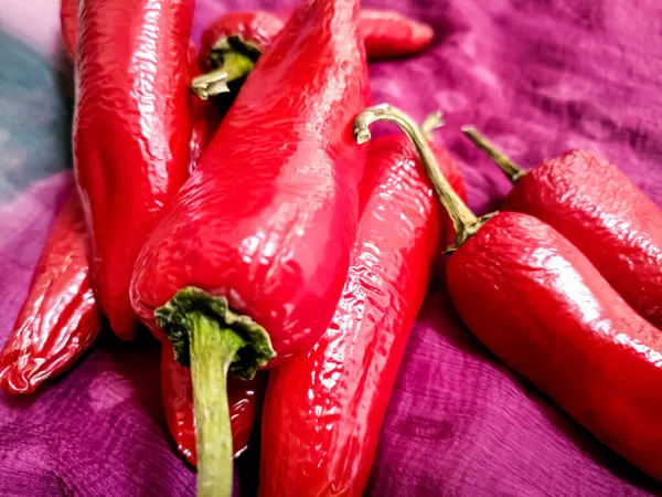 Closup Thick Big Fresh Red Chilly Vegetable Hot Red Cayenne — Zdjęcie stockowe