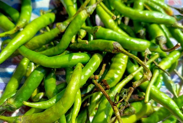 Close Top View Freshly Harvested Green Chillies — стоковое фото