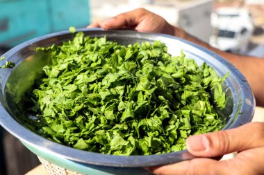 Hindistan 'daki çelik tabakta Hint ıspanağı körisi için ince ince doğranmış ve kesilmiş ıspanak.