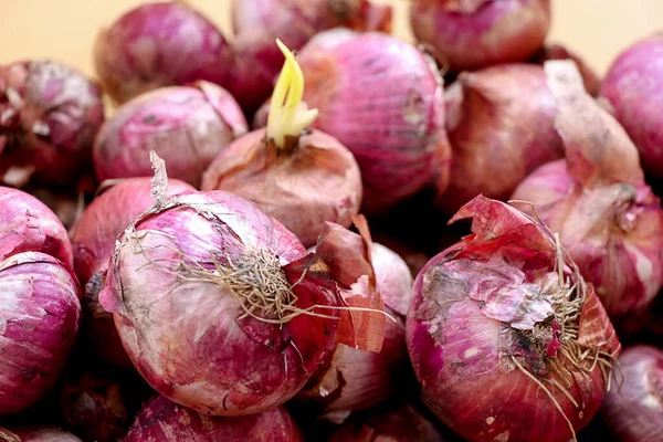 Las Cebollas Rojas Abundancia Exhibición Mercado Granjeros Locales Grandes Cebollas — Foto de Stock