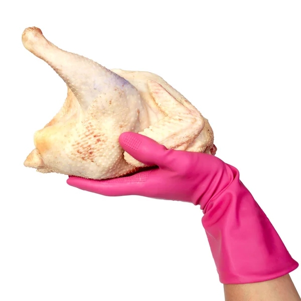 Rå kyckling i arm, isolerat på vita — Stockfoto