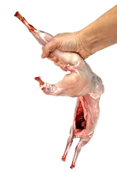 Kött kadavret av en kanin — Stockfoto