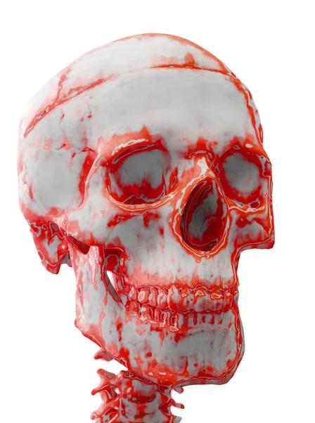 El cráneo manchado de sangre, aislado en el blanco — Foto de Stock