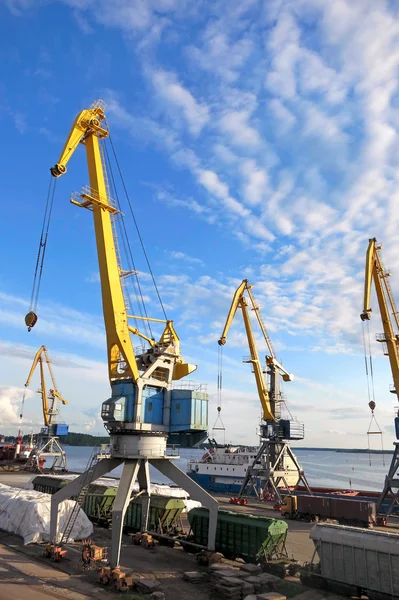 Grues portuaires — Photo