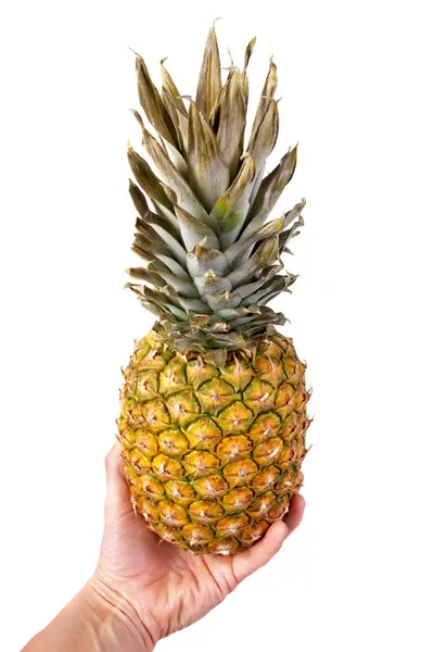 Ananas. — Stok fotoğraf