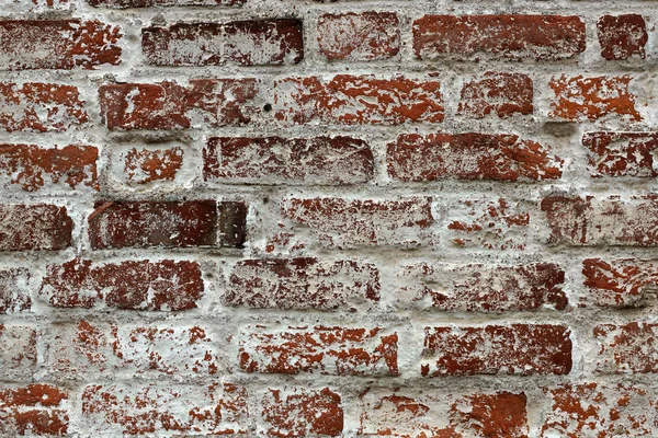 Stará cihlová zeď — Stock fotografie
