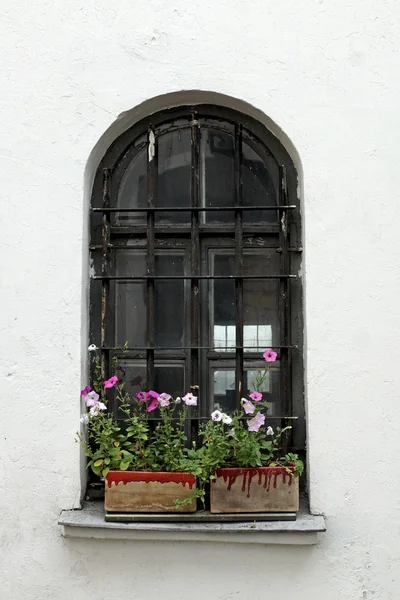 Ventana vieja con flores — Foto de Stock