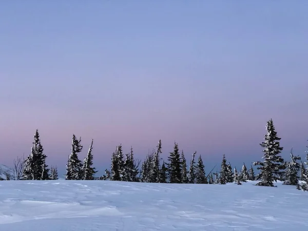 Sheregesh, Kemerovo bölgesinde gün batımı. Sibirya güzeldir. Akşam kayak merkezinde. 4 