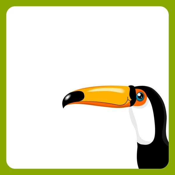 Groene frame met toucan — Stockvector