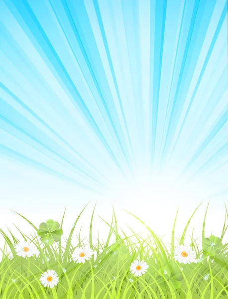 Green lawn in spring morning — Stock Vector