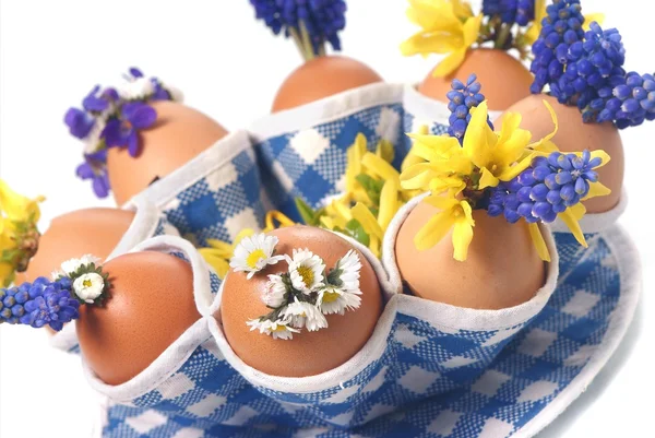 Easter telur dengan bunga — Stok Foto