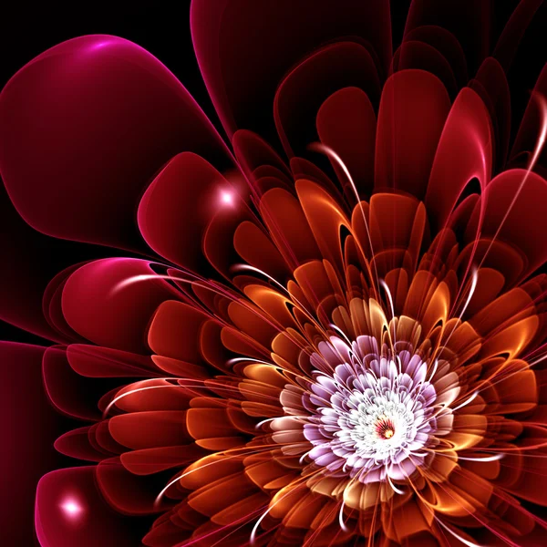 Red fractal flower — Stock Photo, Image