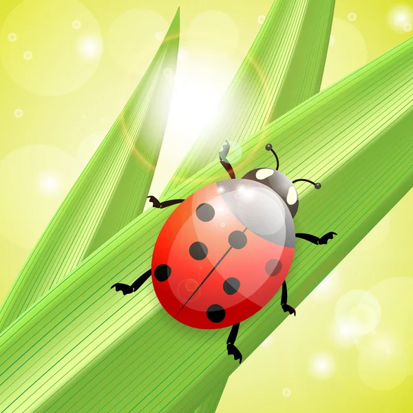 Coccinella un filo d'erba, illustrazione — Vettoriale Stock