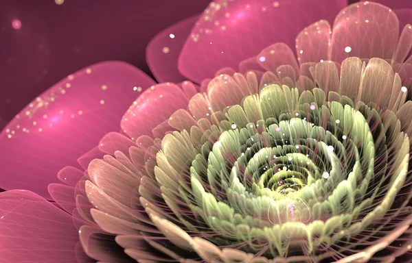 Rosa und grüne fraktale Blume — Stockfoto