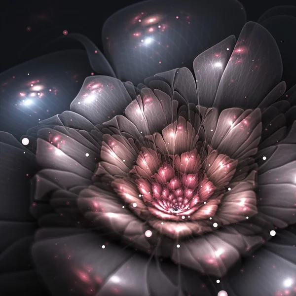 Тень абстрактный цветок с розовыми деталями — стоковое фото