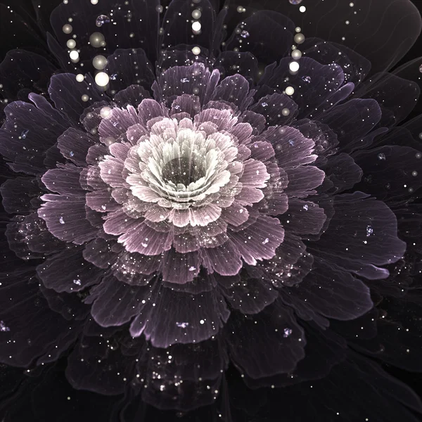 Violet fractal flower with droplets of water — Stock Photo, Image