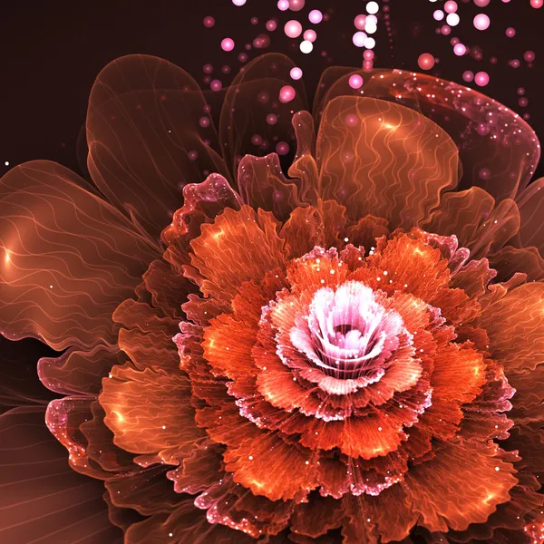 Oranje fractal bloem — Stockfoto