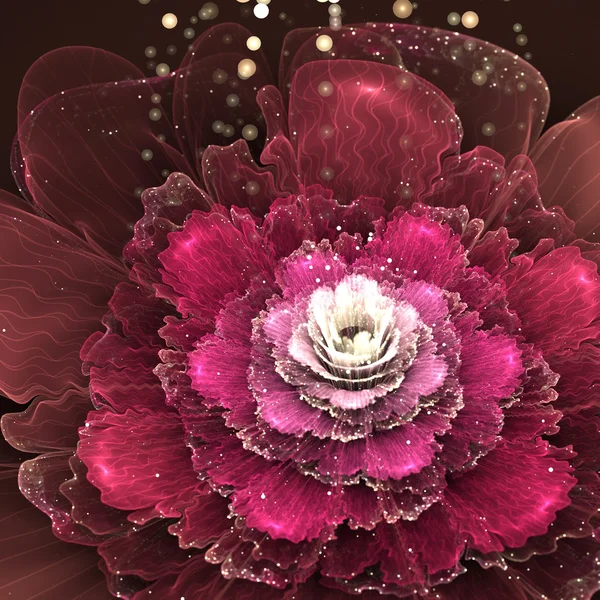Rosa fractal roja — Foto de Stock