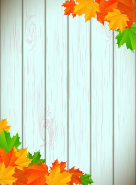 Akçaağaç yaprakları ile soyut arkaplan