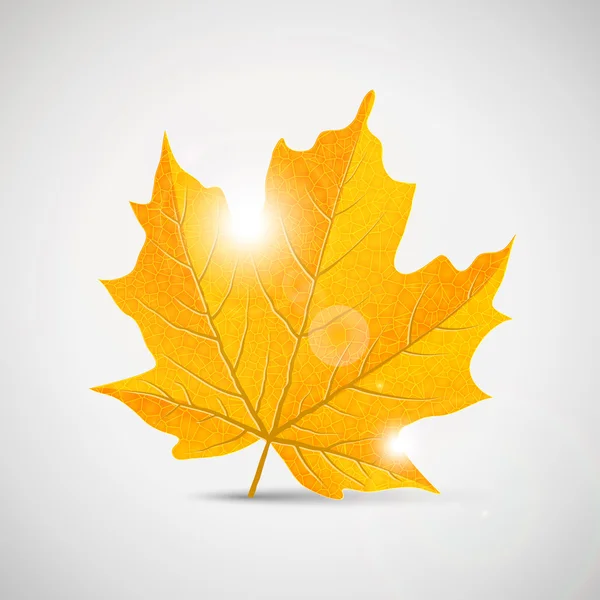 Sárga maple leaf - illusztráció — Stock Vector