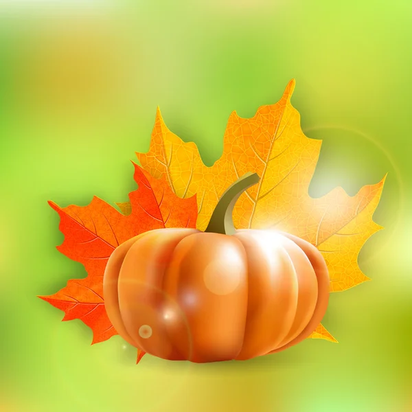 Pumpkin and maple leaves  - illustration — Stock Vector