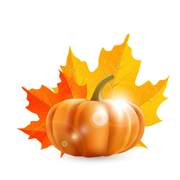 Pumpkin and maple leaves  - illustration — Stock Vector