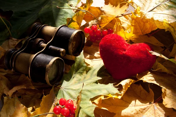 Amore, binocolo e cuore — Foto Stock