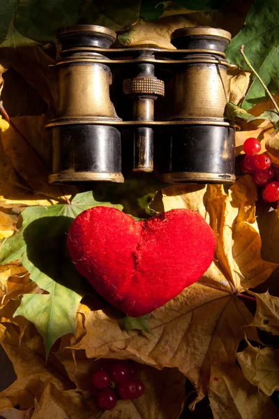 Love, heart and binoculars — Stock Photo, Image