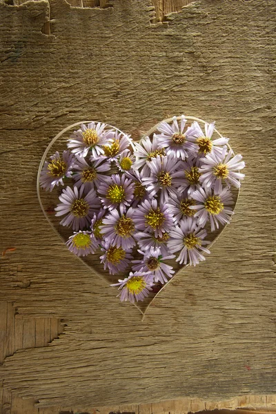 Heart from flowers. — Stock Photo, Image