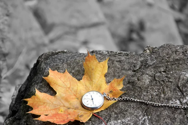 Herfst. — Stockfoto