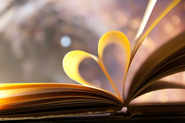 Book heart concept. — Stock Photo, Image