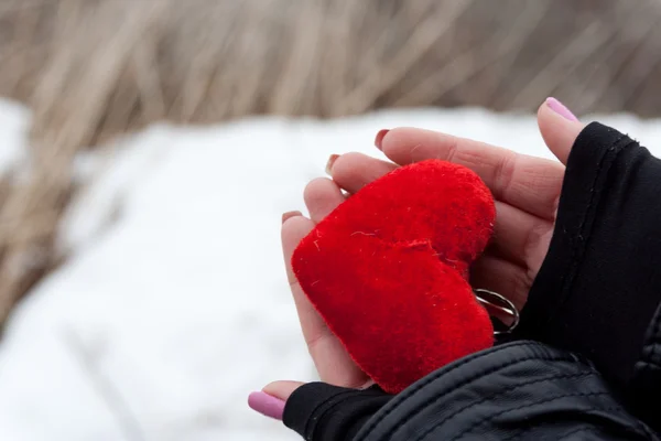 Love concept. holding a red heart in hands. — Stock Photo, Image