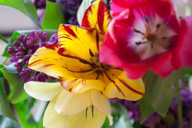 güzel bahar buketi.