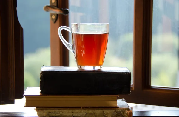 Taza de té. — Foto de Stock