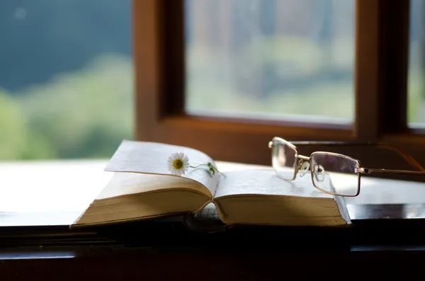 Bok och glasögon. — Stockfoto