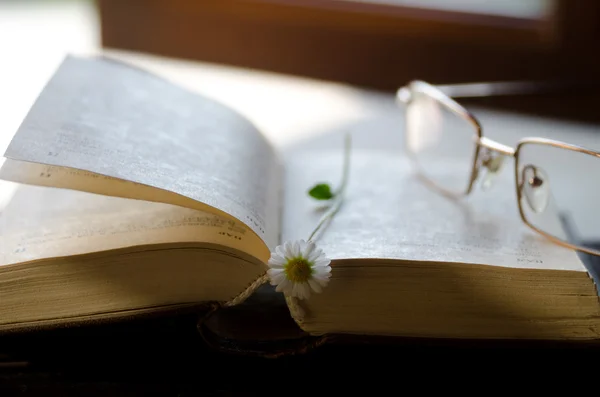 Book and eyeglasses. — Stock Photo, Image