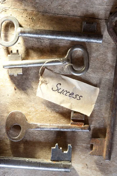 成功への鍵 — ストック写真