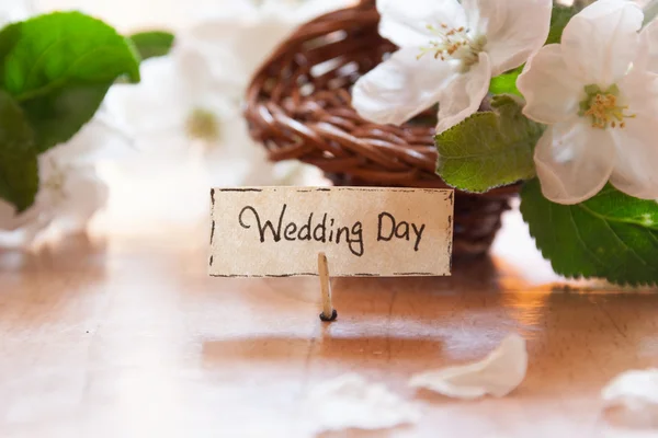 Wedding Day — Stock Photo, Image