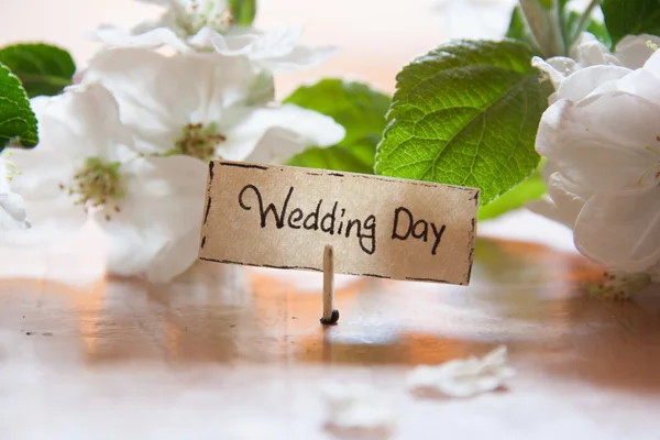 Wedding Day — Stock Photo, Image