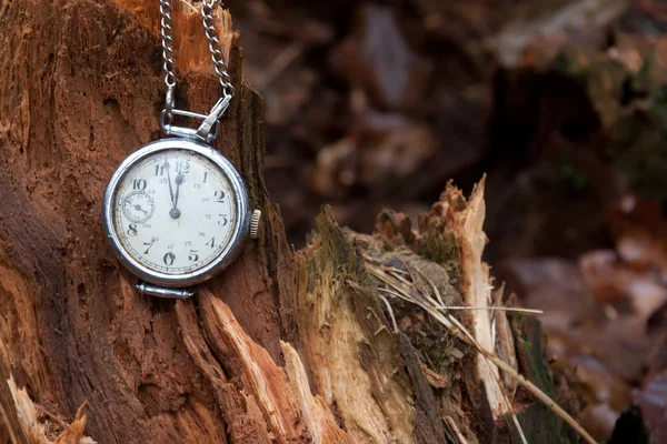 Vintage clock on a wooden stump in a forest — Stock Photo, Image