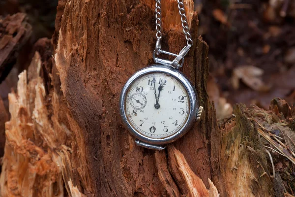 Vintage clock on a wooden stump in a forest — Stock Photo, Image