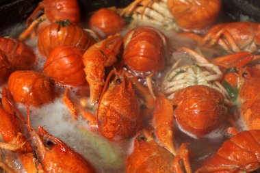 Kerevit kaynayan suda kaynıyor, yakın plan, seçici odaklanma